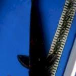 ANTIK MALE 44CM