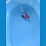 showa ukur 24_25cm male
