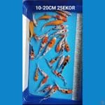 MIX 10-20CM 25EKOR