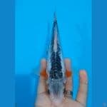 21 Cm- Shusui