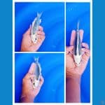 bahan ginmatsuba size 18 cm