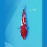 Original kohaku 27cm