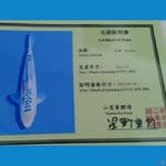 import yamaju shusui 31 cm