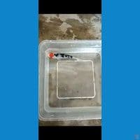 11cm Tc Sanke