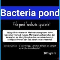 Bacteria Pond ( 500 gram )