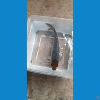 TANCHO OCHIBA GINRIN 20 CM
