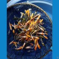 bibitan mix kumpay