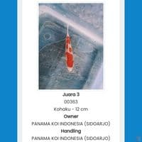 kohaku up to 12cm juara 3 all info solo