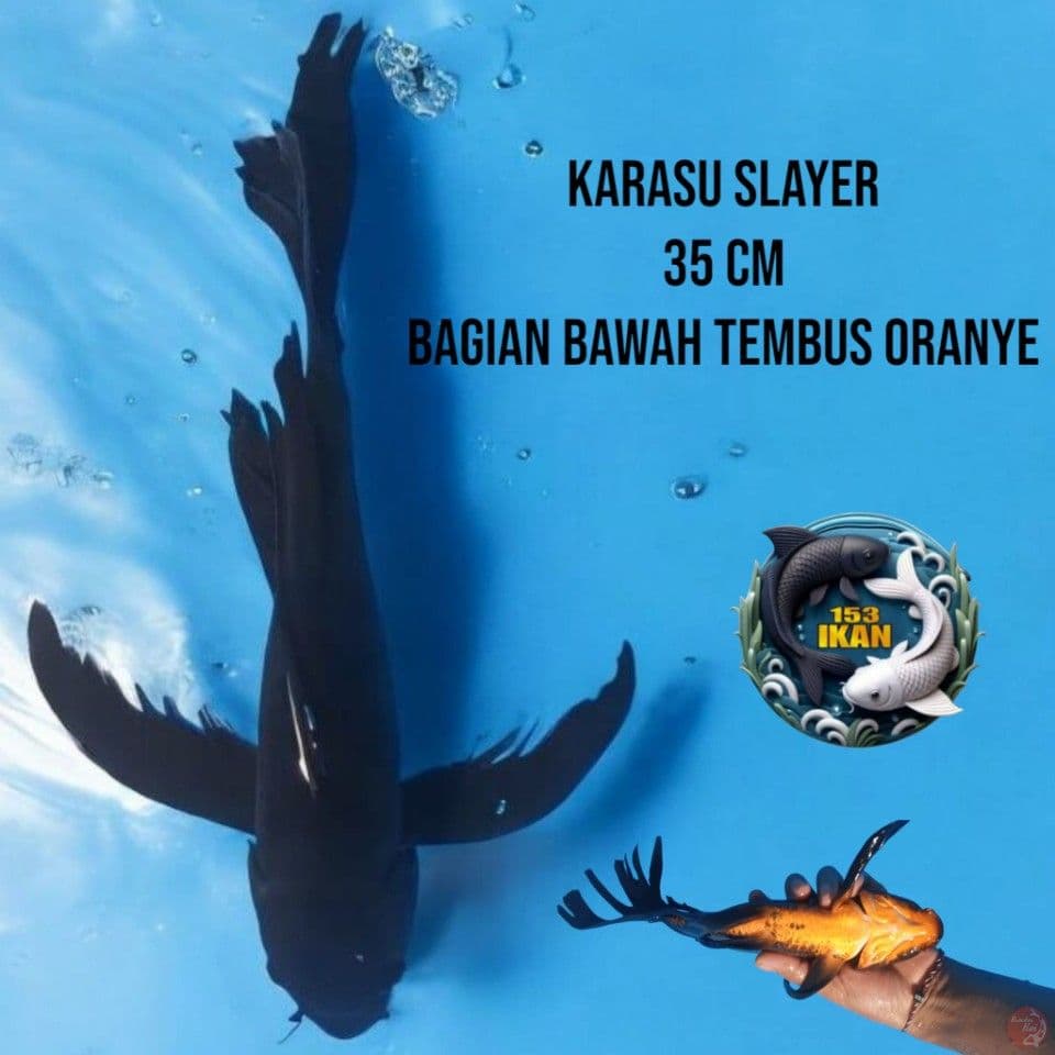 Karasu Slayer