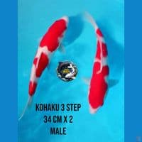 paket kohaku 3 step