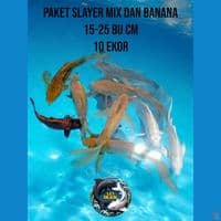 paket slayer mix + banana