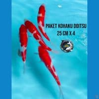 paket kohaku doitsu