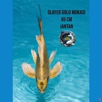 slayer gold mukasi