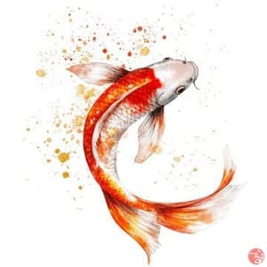 Kohaku Kumpay