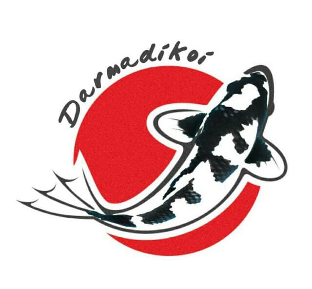 Foto profil Darmadi