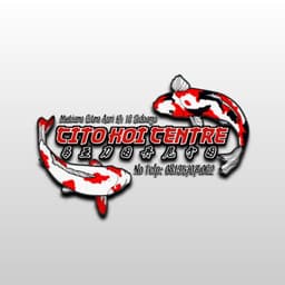 CITO KOI