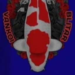 Vankoi Blitar1001