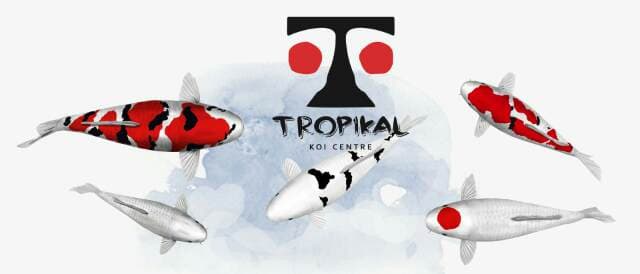 Foto profil Tropikal Koi Centre 