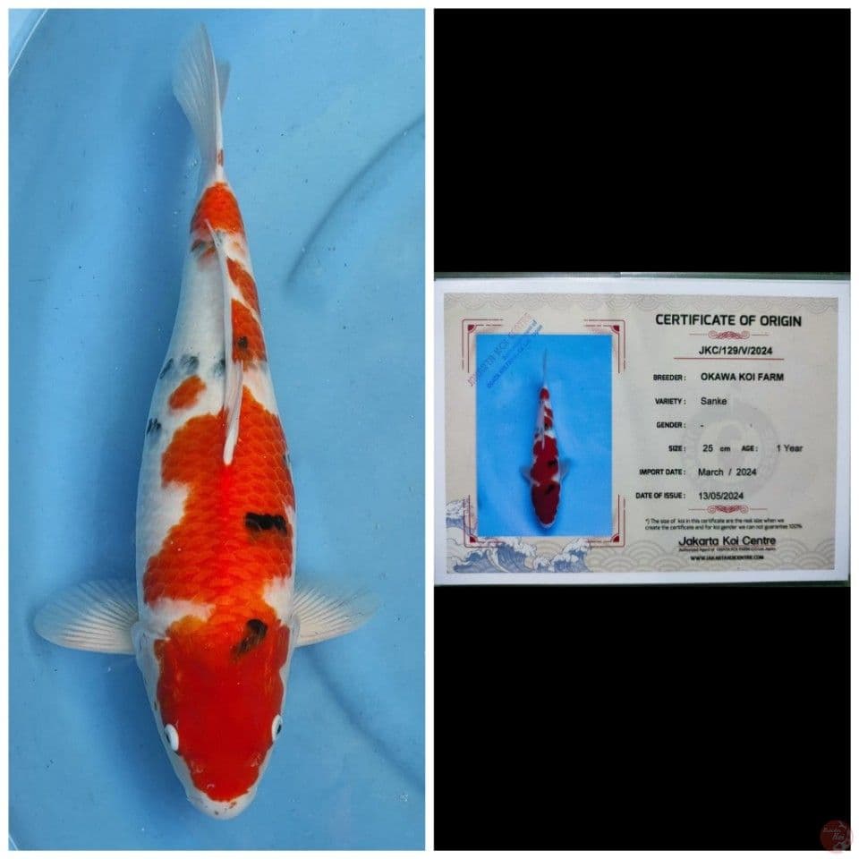 Okawa Sanke