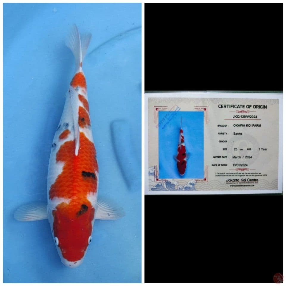 Okawa Sanke
